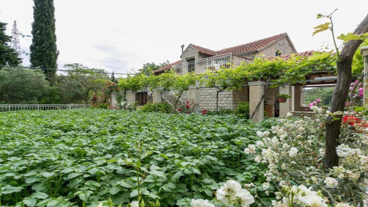 Apartment Klepo Ντουμπρόβνικ Εξωτερικό φωτογραφία